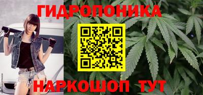 прущие крисы Гусиноозёрск