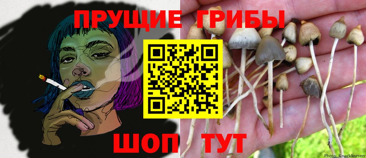 Галлюциногенные грибы мухоморы Красноармейск